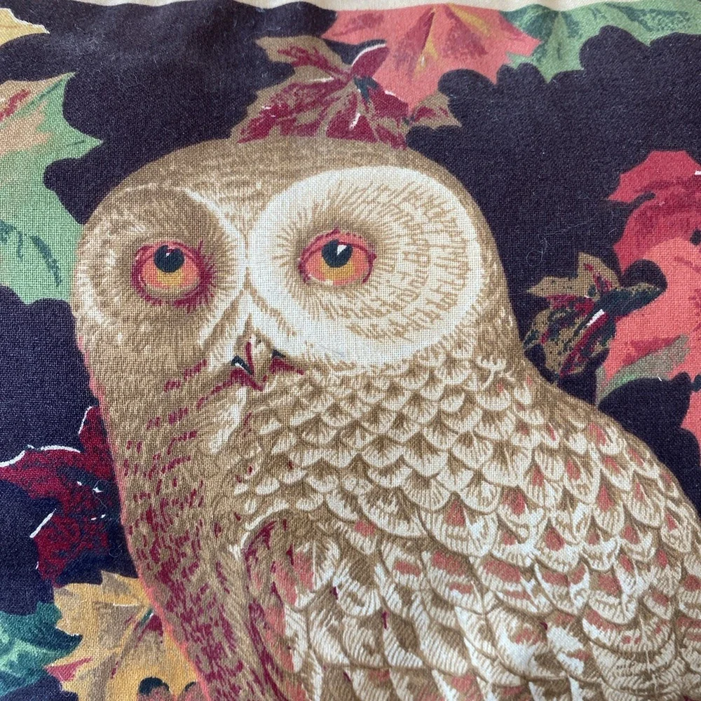 Wamsutta Barn Owl Fabric Black Background Fall Leave Pillow w/Black & White Lace